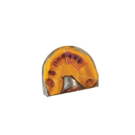 PLACA CALIBRARE TRANSPARENTA PTR.GIROFORM
