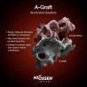 A OSS BOVIN OSSTEM 1g (1.00-2.00 mm)  BAL10