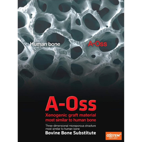 A OSS BOVIN OSSTEM 2g (1.00-2.00 mm)  BAL20
