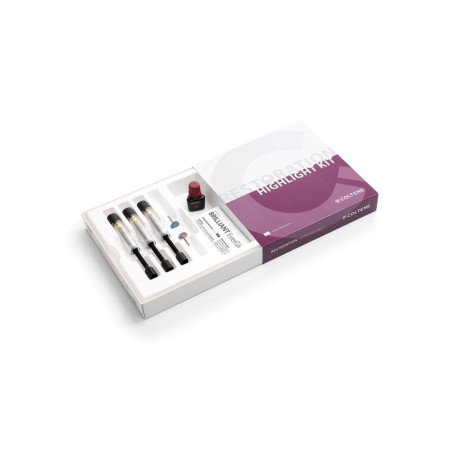 BRILLIANT EVER GLOW HIGHLIGHT KIT