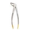 CLESTE EXTRACTIE DENTARA INCISIV INFERIOR 4 MH