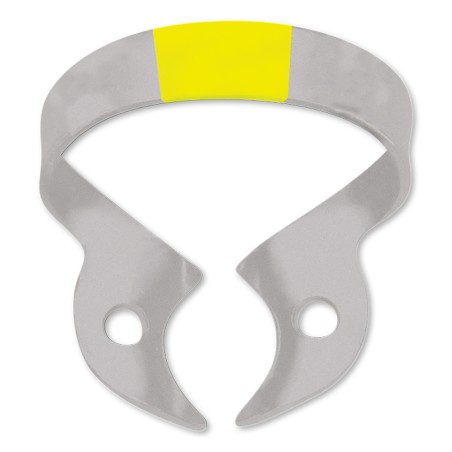 CLEMA DIGA WINGLESS MOLAR SUPERIOR W8