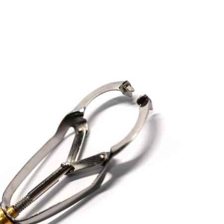 PORT MATRICE IVORY MH