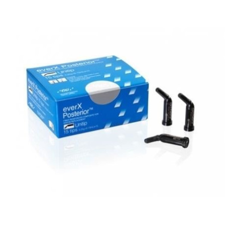 EVERX POSTERIOR