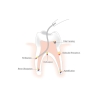 MAP NITI MEMORY SHAPE NEEDLE 0.90mm