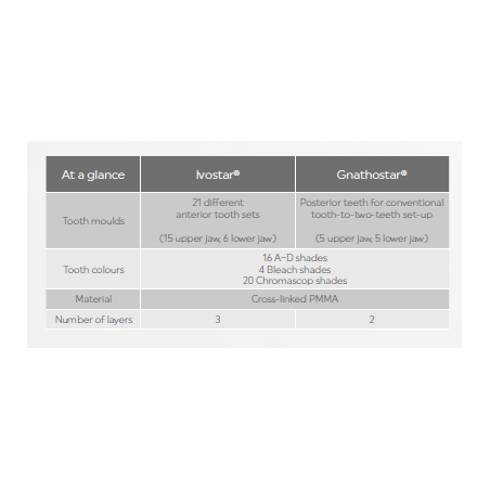 Dinti Ivostar 1x6 A2 S02