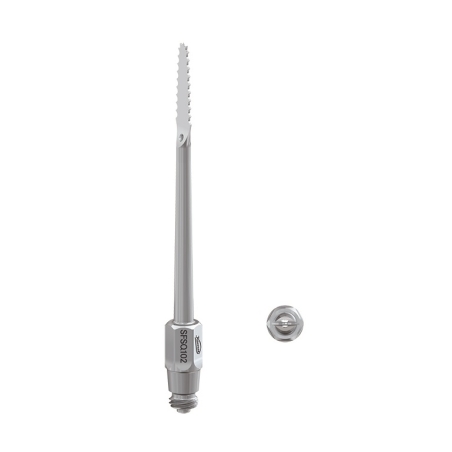 ANSA TIP FIERASTRAU FRAGMENTARE OS SFSQ.102