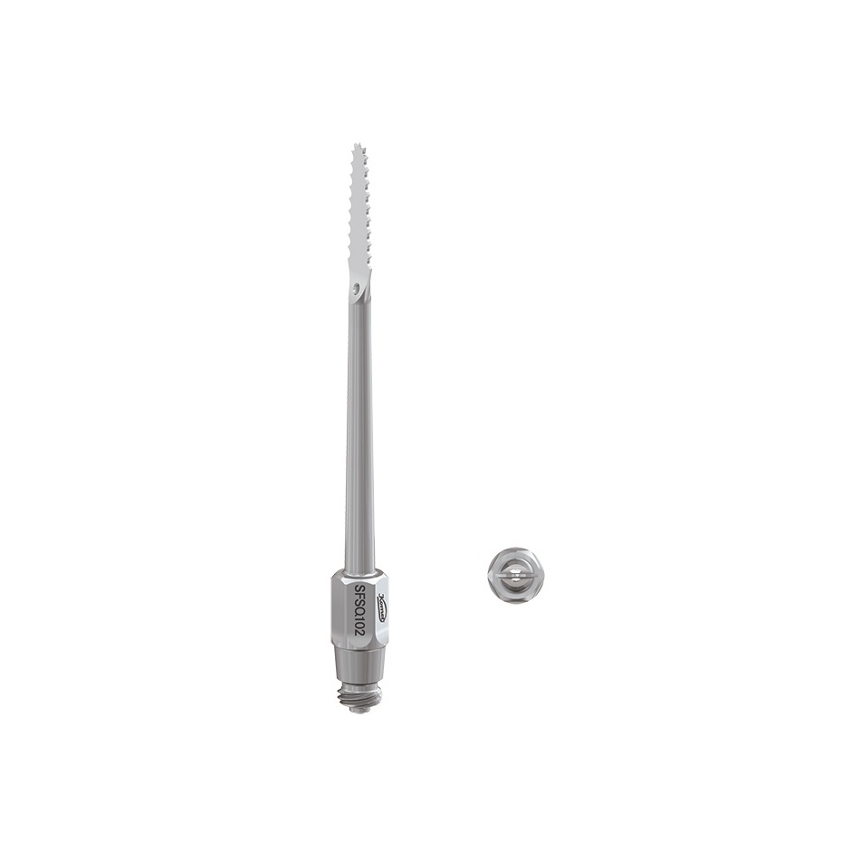 ANSA TIP FIERASTRAU FRAGMENTARE OS SFSQ.102