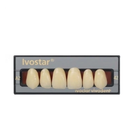 Dinti Ivostar 1x6 A2 S42