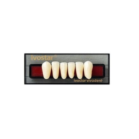 Dinti Ivostar 1x6 A2 I16