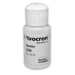 SR IVOCRON DENTIN BODY 30g 110