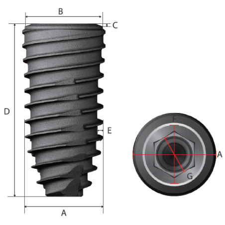 TOPLAN IMPLANT 4.0mmDx14mmL T014014S