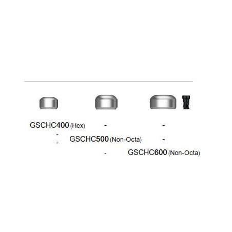 CAPA VINDECARE BONT CONVERTIBIL D4.0  GSCHC400WH