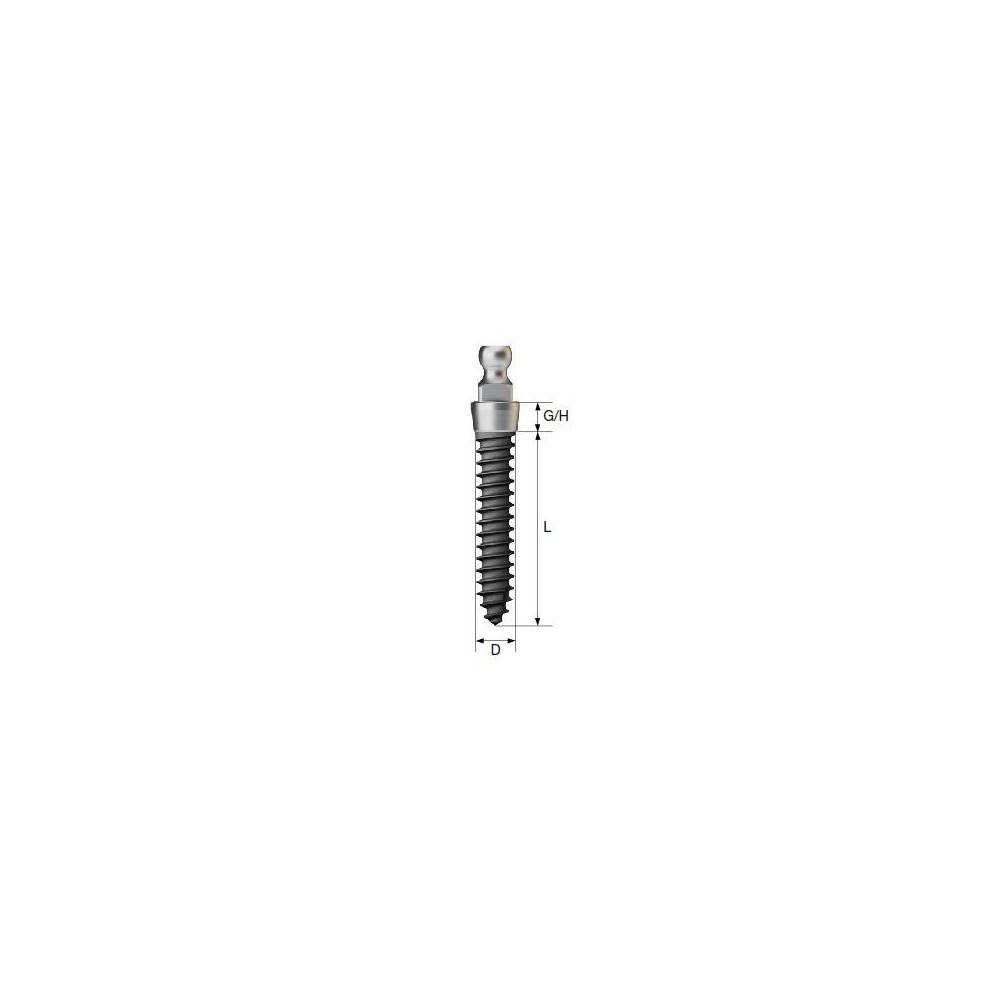 MS IMPLANT CU BILA D3.0 L10 GH2.0  MSD30102R