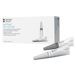 AH PLUS (PASTE A 4ml, PASTE...