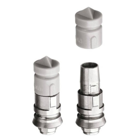 SCANBODIES Primescan - Omnicam (36BUC) L