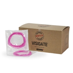 GBT VISIGATE