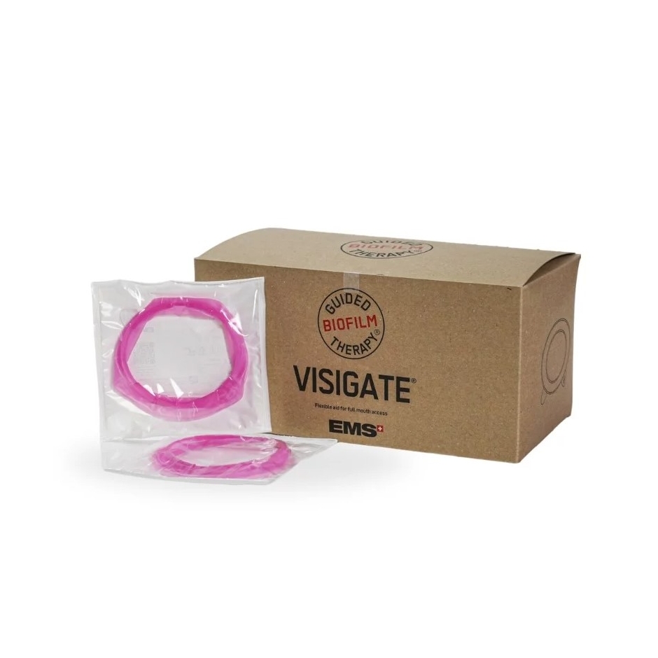 GBT VISIGATE