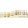 GRADIA DIRECT SERINGA A1 4g