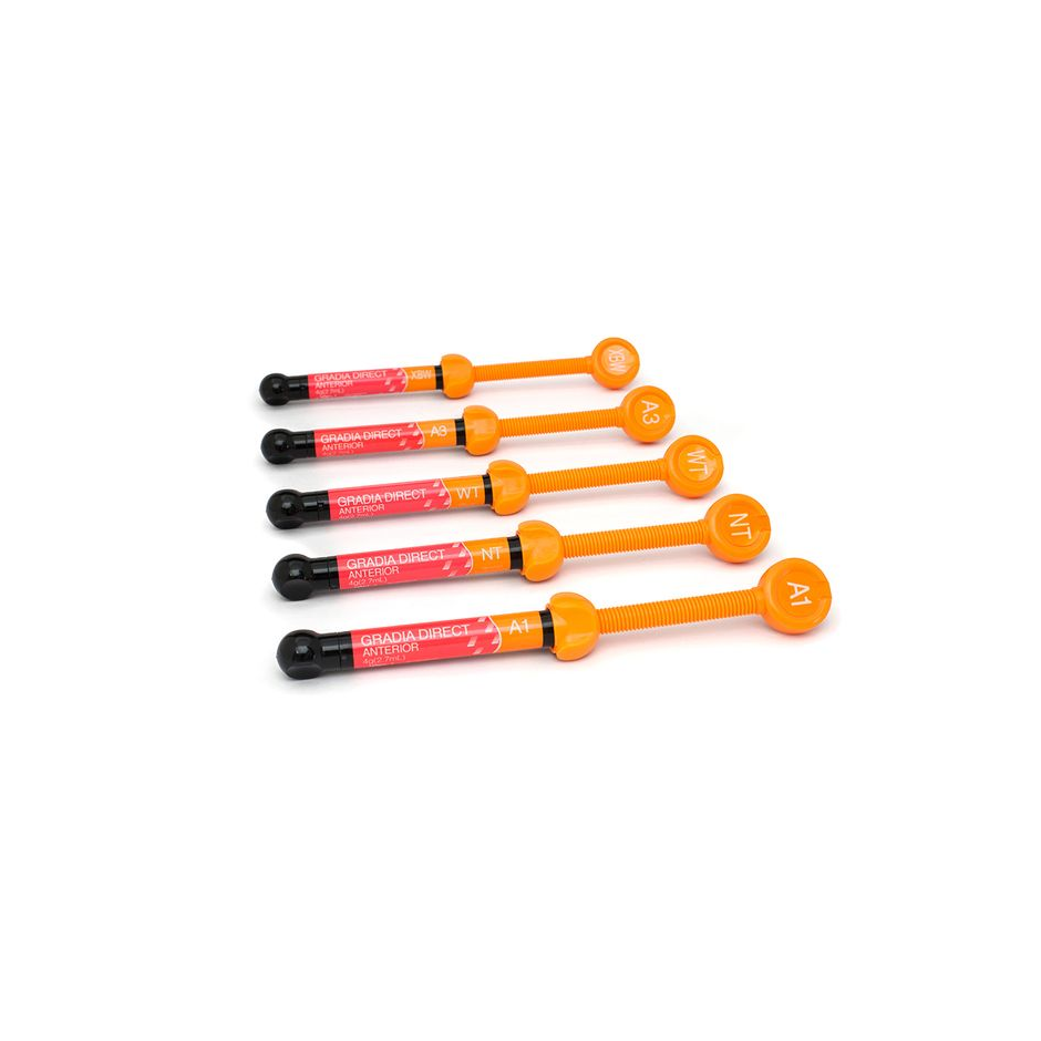 GRADIA DIRECT SERINGA A1 4g