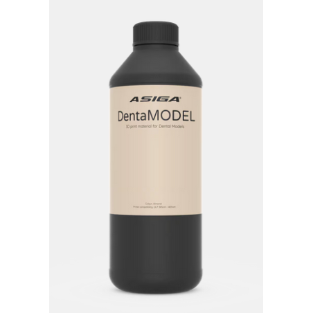 Denta Model Asiga 1kg