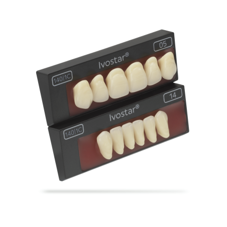 Dinti Ivostar 1x6 D2 S44