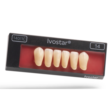 Dinti Ivostar 1x6 A1 S01