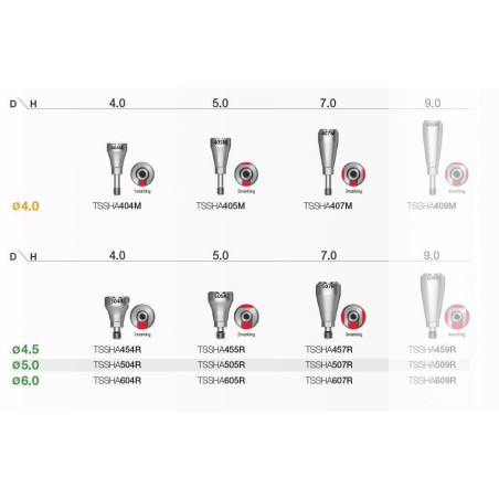 BONT DE VINDECARE SCANABIL R D4.5 H4.0   TSSHA454RTH