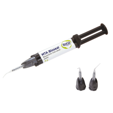 MTA BIOSEAL SERINGA 4gr