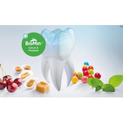 PROFLUORID VARNISH + BIOMIN...