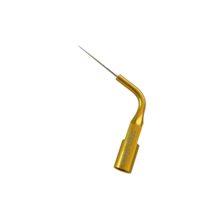 Ansa endo-activare G20 Eighteeth