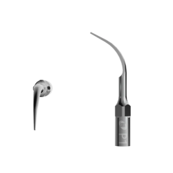 Ansa endo-activare P1...