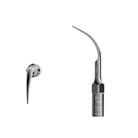 Ansa endo-activare P1 Eighteeth