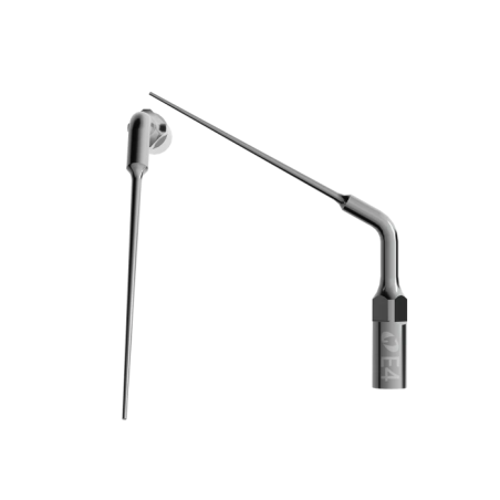 Ansa endo-activare E4 Eighteeth
