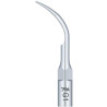 Ansa detartraj Woodpecker G1