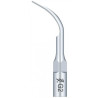 Ansa detartraj Woodpecker G2