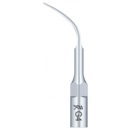 Ansa detartraj Woodpecker G4