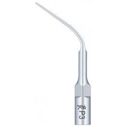 Ansa Woodpecker P2RD