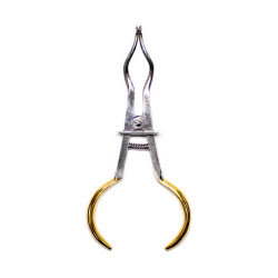 CLESTE CLEME DIGA BREWER MH