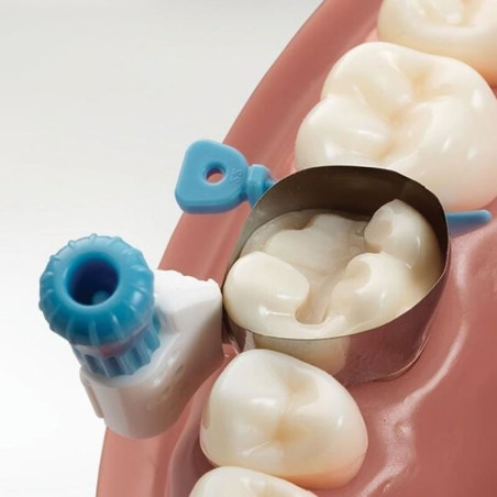 MATRICE PALODENT 360 5.5mm REFILL