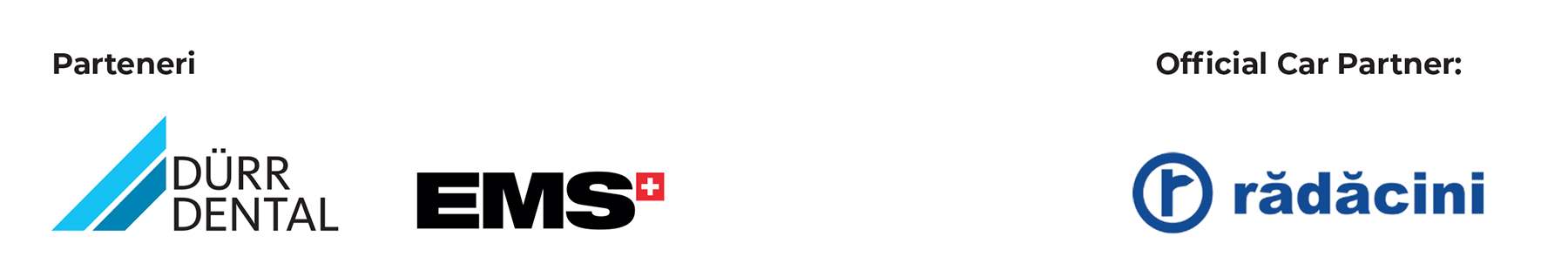 Parteneri DS Summit 2026