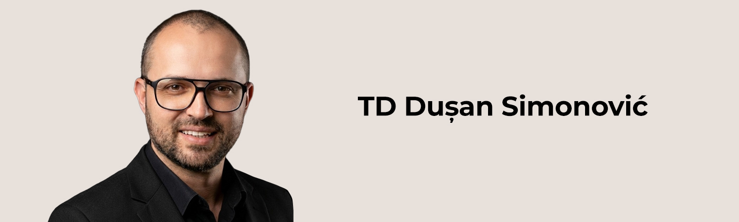 CV DUSAN SIMONOVIC